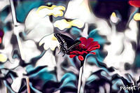 Butterfly-flower-painterly