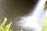 Paronella Park - waterfall splash